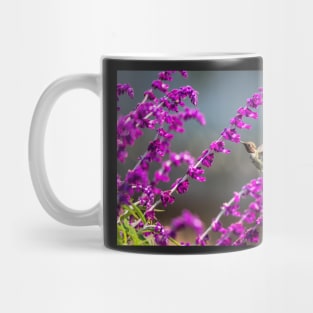 Hummingbird Having a Snack Mug